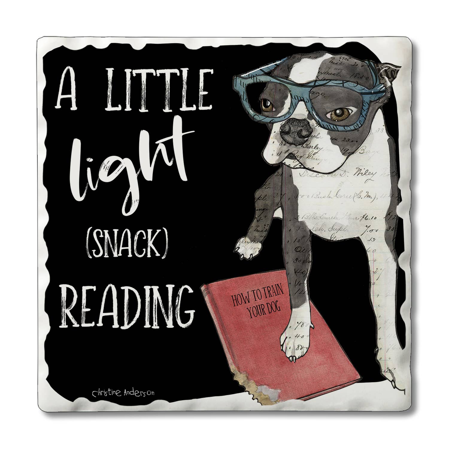 CounterArt/Highland Home/Thirstystone – wholesale Återförsäljarskyltning – Naughty Pets förpackad underläggsdisplay8