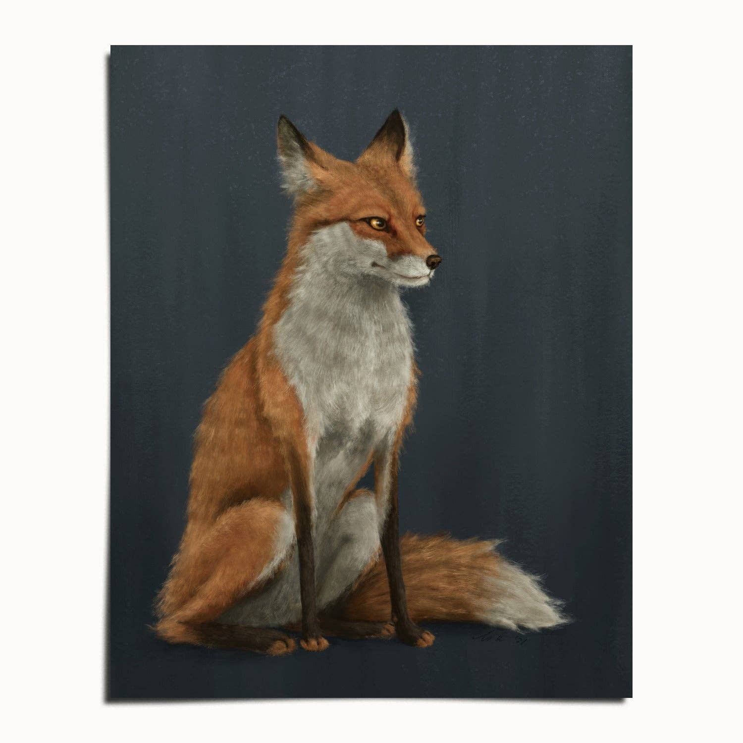 The Ugly Cat Studio - Wholesale Art Print - Red Fox Fine Art Print - Blue Edition2