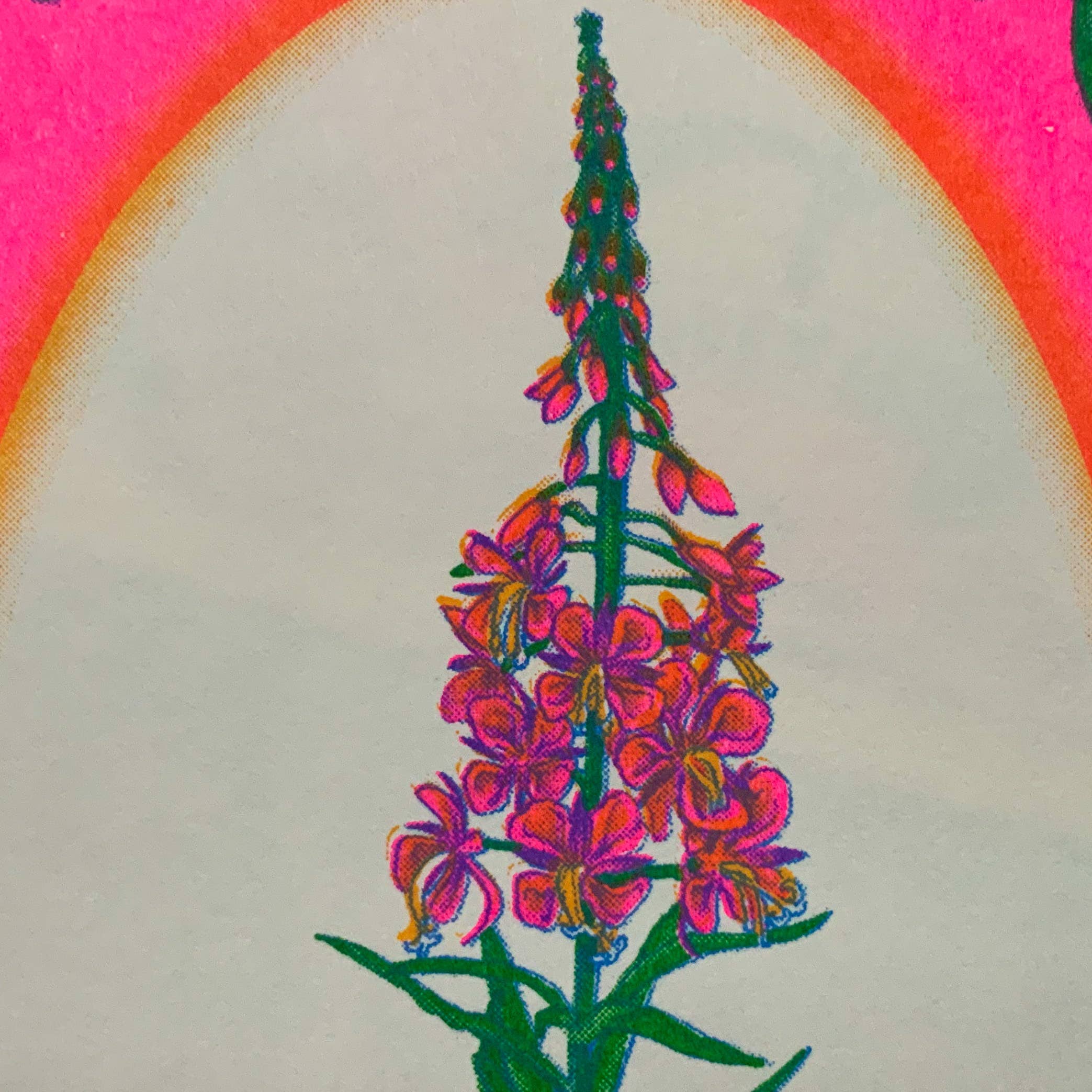 Psychedelic Lens – Engroshandel Kunsttryk – Lille Fireweed Riso Print1