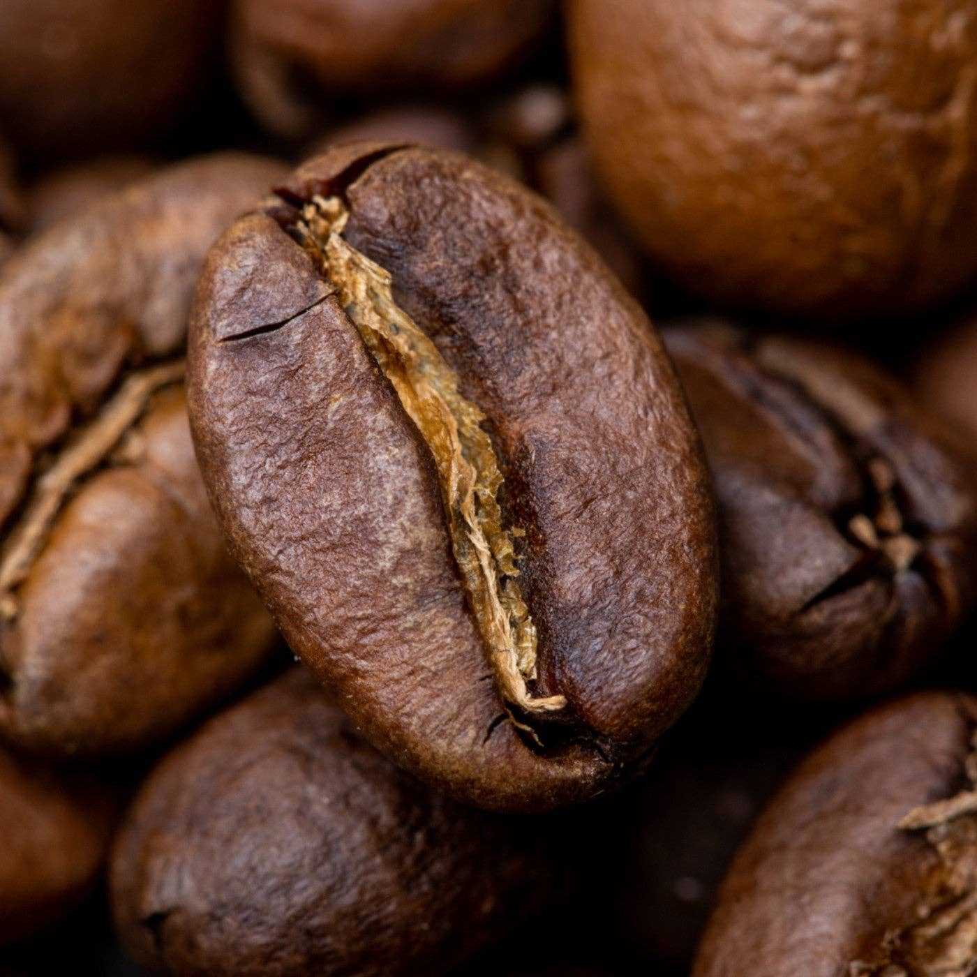 The Smoking Tiger - Wholesale Coffee Beans - Ethiopia (Yirgacheffe) - Kochere Boji Grade 1 Washed3