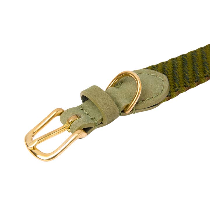 Molly and Stitch - Wholesale Pet Collar - Dog - Patagonia Dog Collar - Moss2