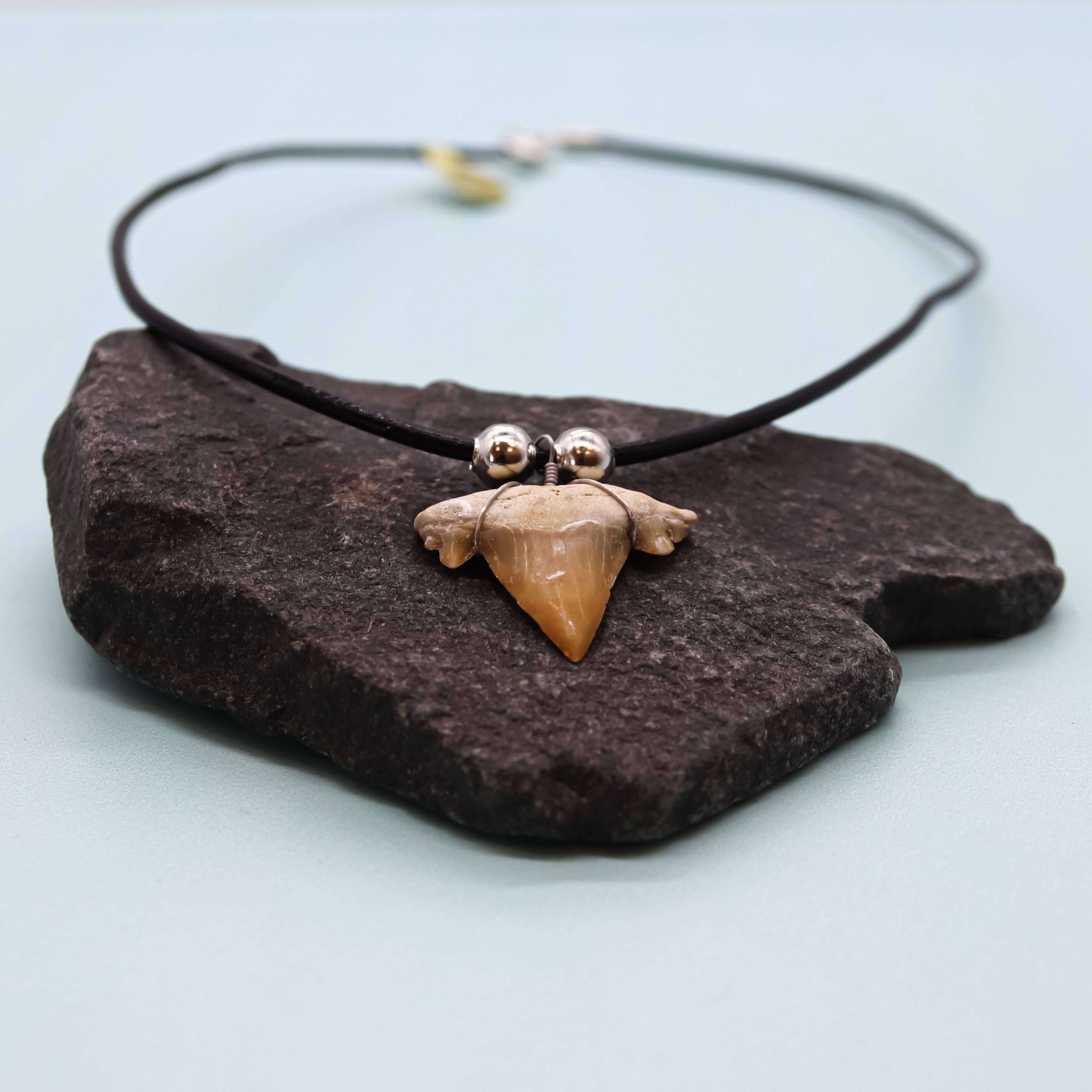 Natalia - Wholesale Pendant/Charm Necklace - Shark Tooth Necklace - Fossil Sharks Teeth with Leather Cord9