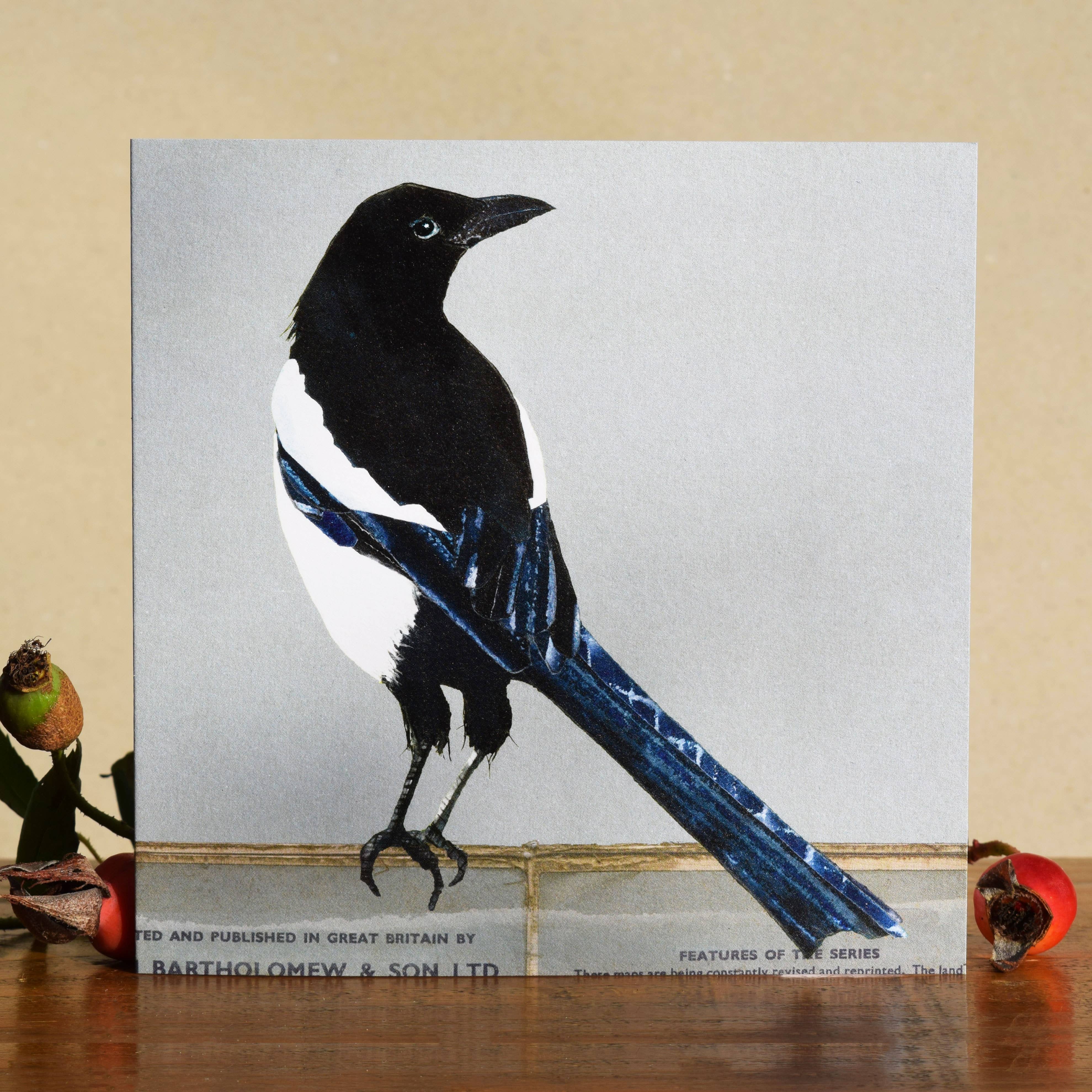 Windsock Press – wholesale Everyday greeting card – Magpie Card (British Birds) 1