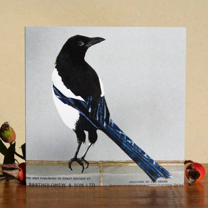 Windsock Press – wholesale Everyday greeting card – Magpie Card (British Birds) 1