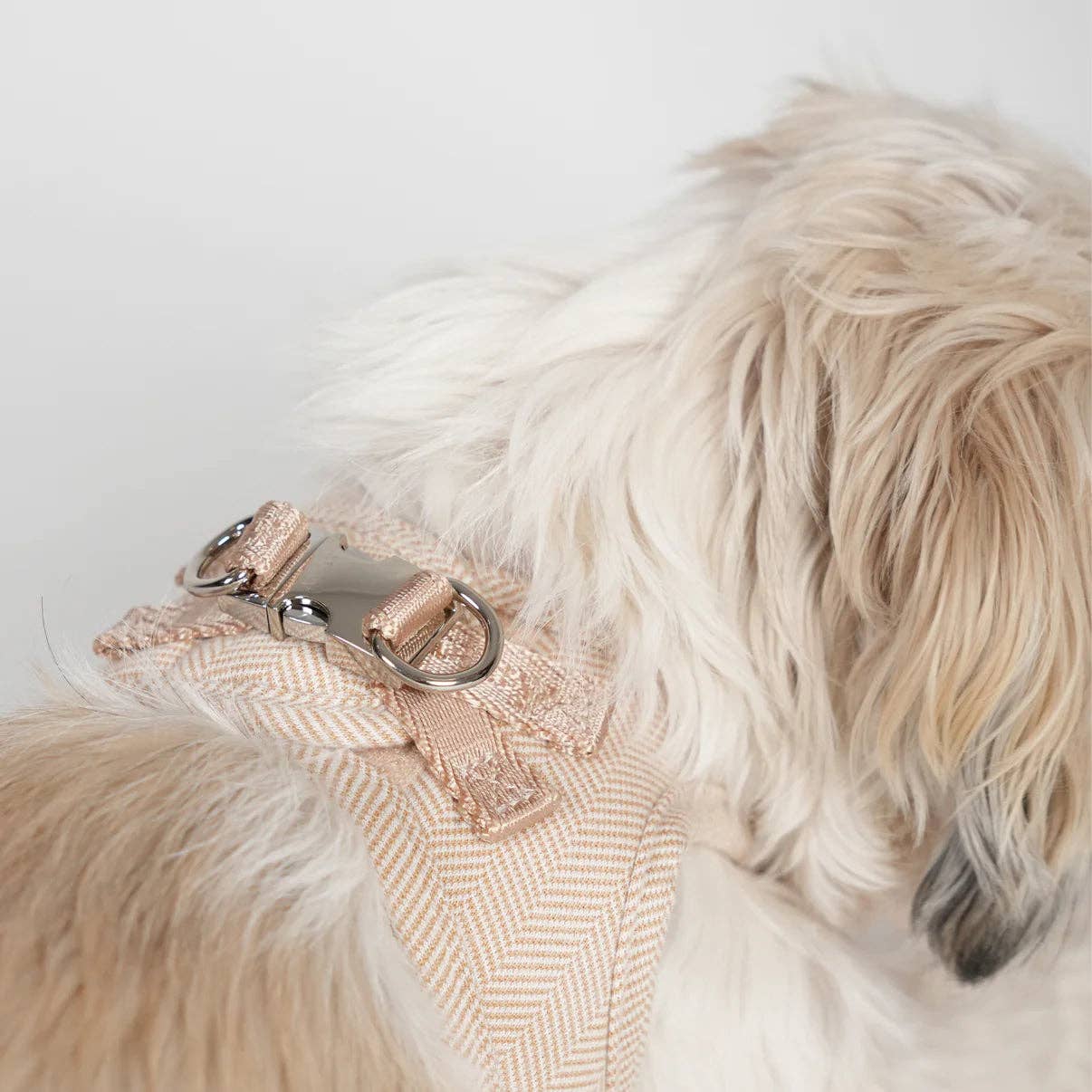 Staey - Wholesale Pet Harness - Dog - Saga Step-In Dog Harness | Light Rose5