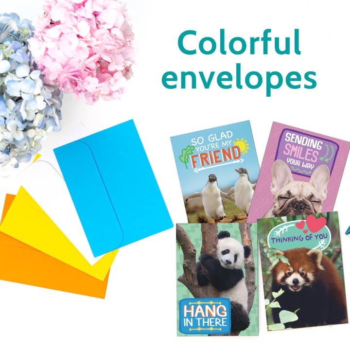 T Marie - Wholesale Everyday Greeting Card - 24 Funny Greeting Cards Set with Envelopes - 24 Designs3