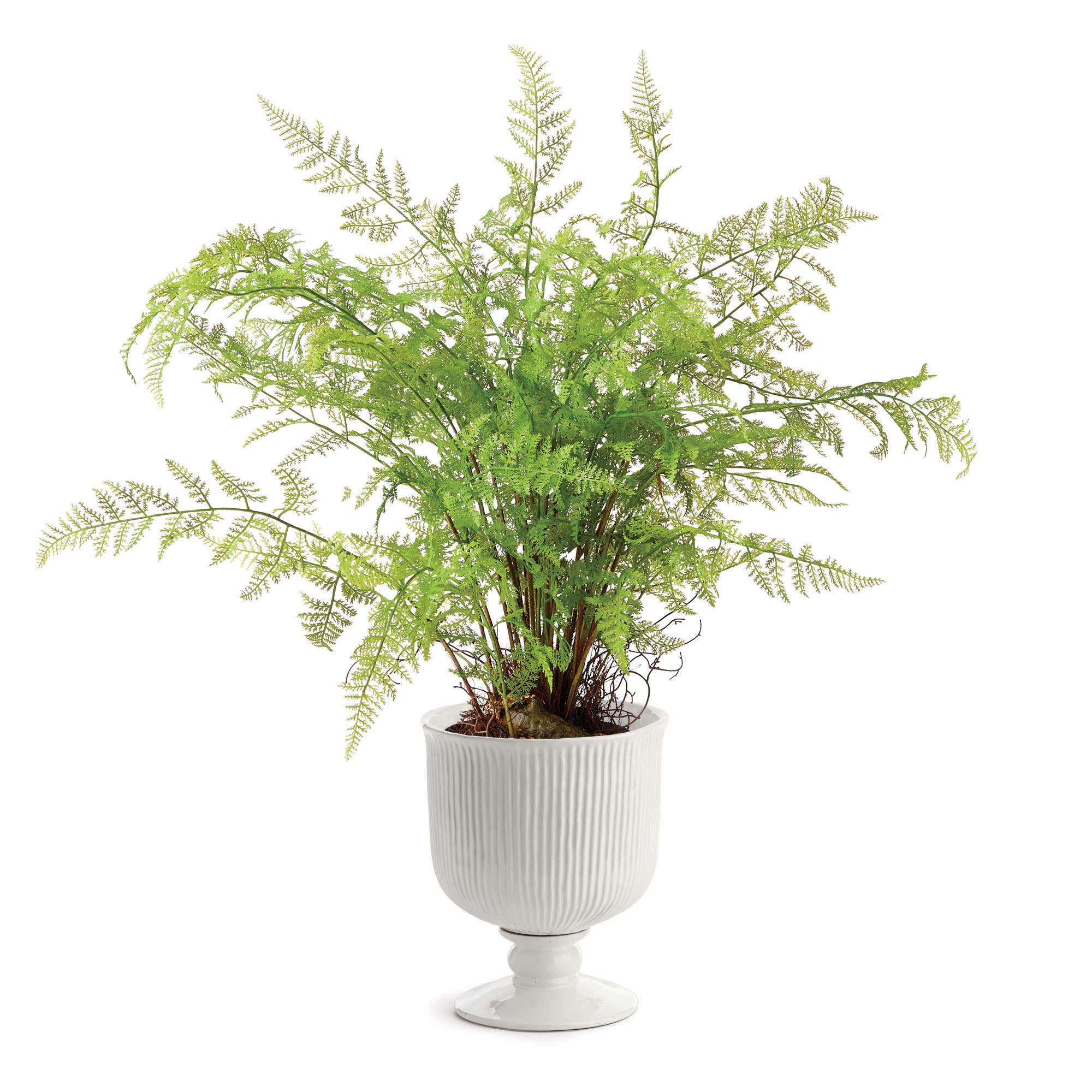 Napa Home & Garden - Wholesale Urn - Sinclair Footed Urn 11"2