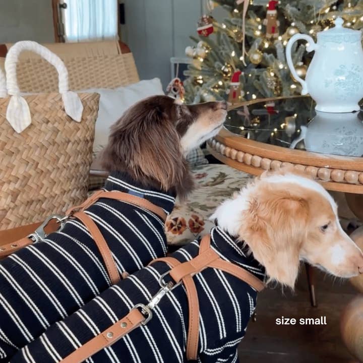 ST ARGO – wholesale Sele - Hund – HARNESS - Brun3