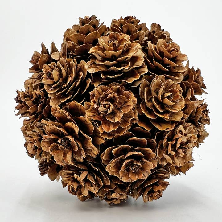 2626 Designs - Wholesale Decorative tabletop object - 3 Handmade Preserved Topiary Brown Balls - Bowl Filler 6