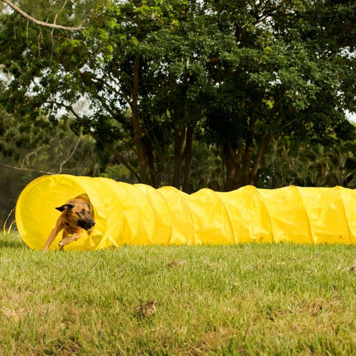 Midlee Designs - Wholesale Pet Agility Weave Pole - Dog - Midlee Dog Agility Tunnel4