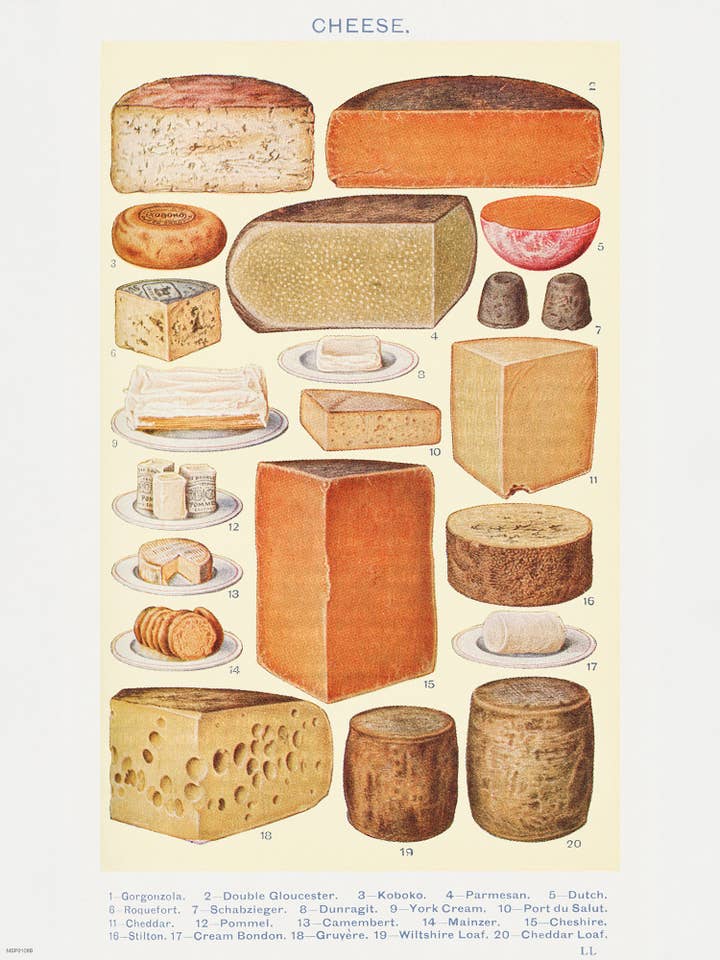 Cheese Chart Poster Vinatge Poster 30x40cm Art Print for wholesale by On The Wall Art Ltd