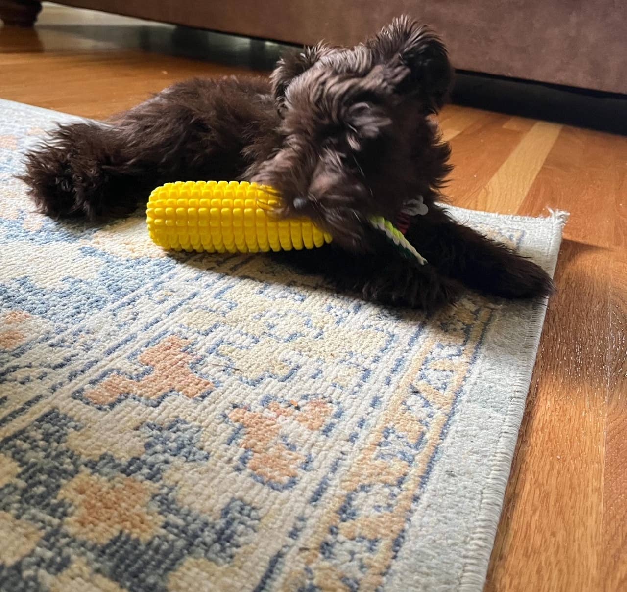 Green Waves Co. - Wholesale Pet Chew Toy - Dog - Corn-Shaped Dental Chew Toy17