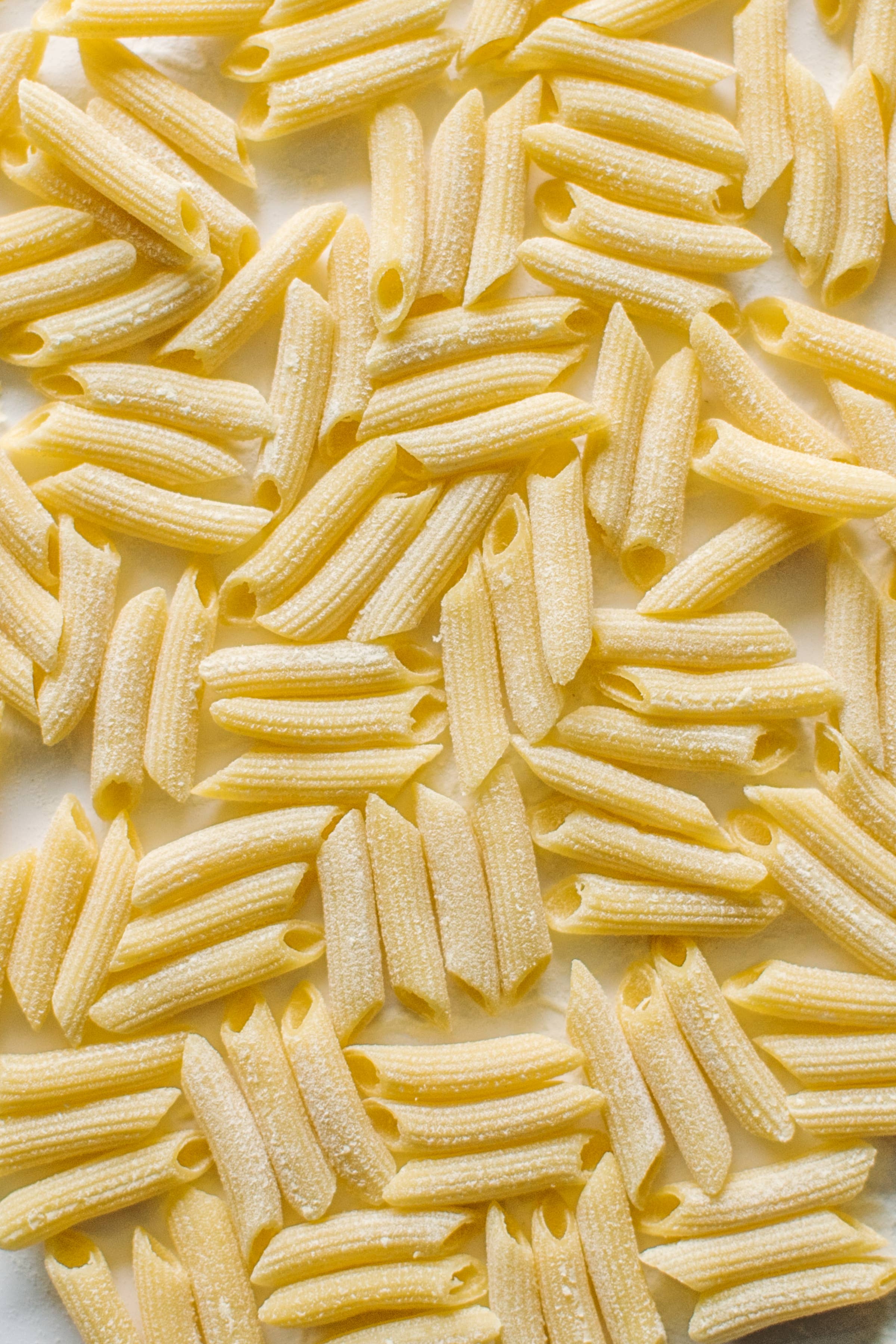 Vera Pasta - Wholesale Pasta - Traditional Penne1