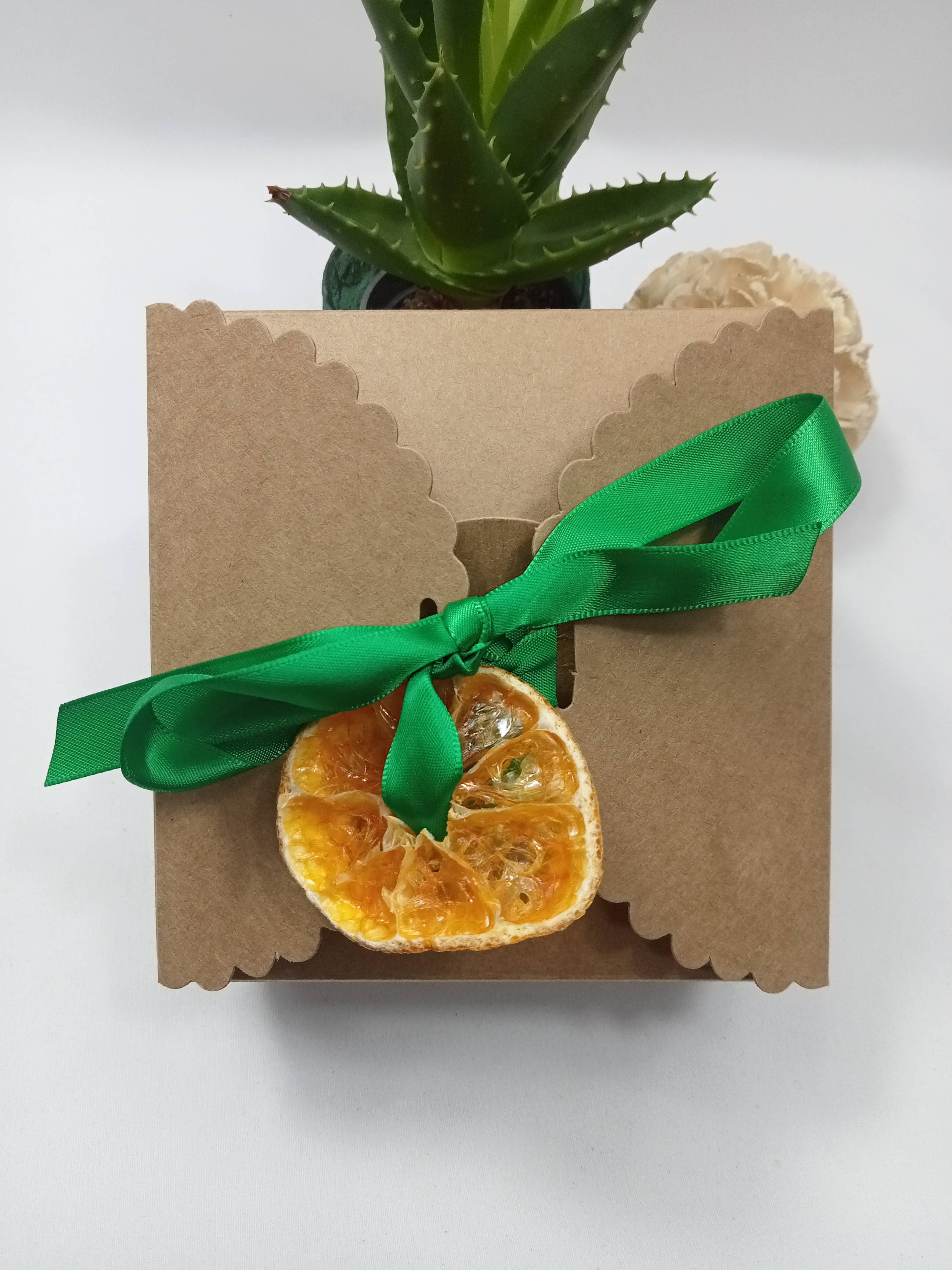 ZHENZHI - Wholesale Facial Care Set/Kit - Beauty gift box2