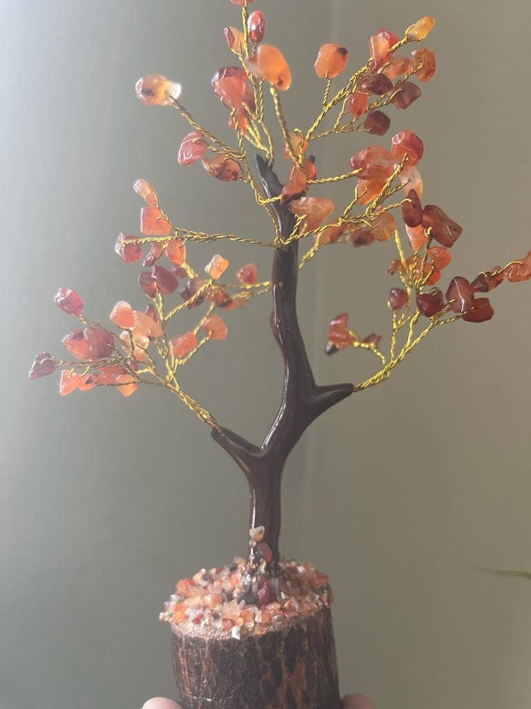jiomind - Wholesale Spiritual Stone/Crystal - Red Carnelian Crystal Tree (100 chips)1