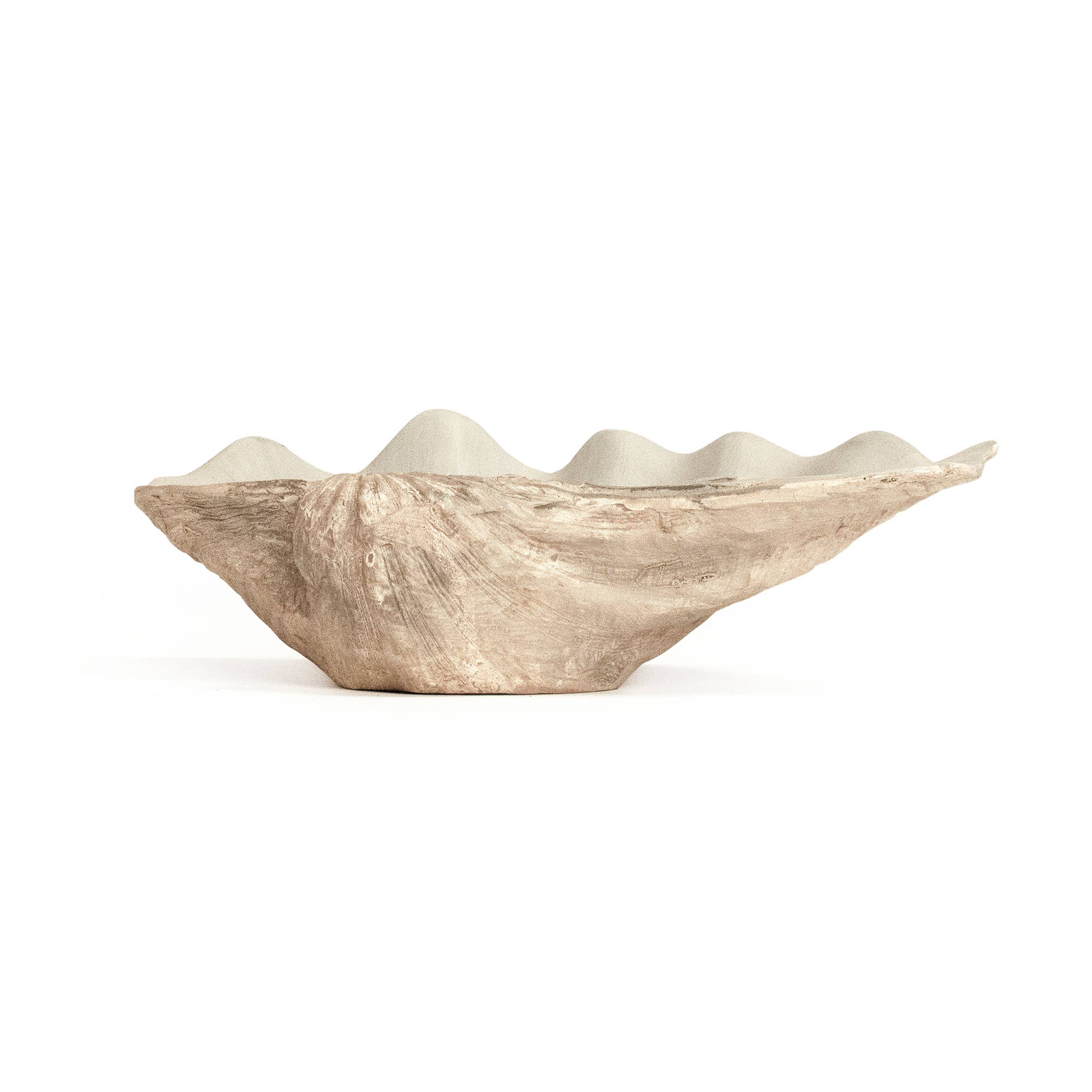 Off white Taupe Tridacna Half Shell Bowl for wholesale on Faire0