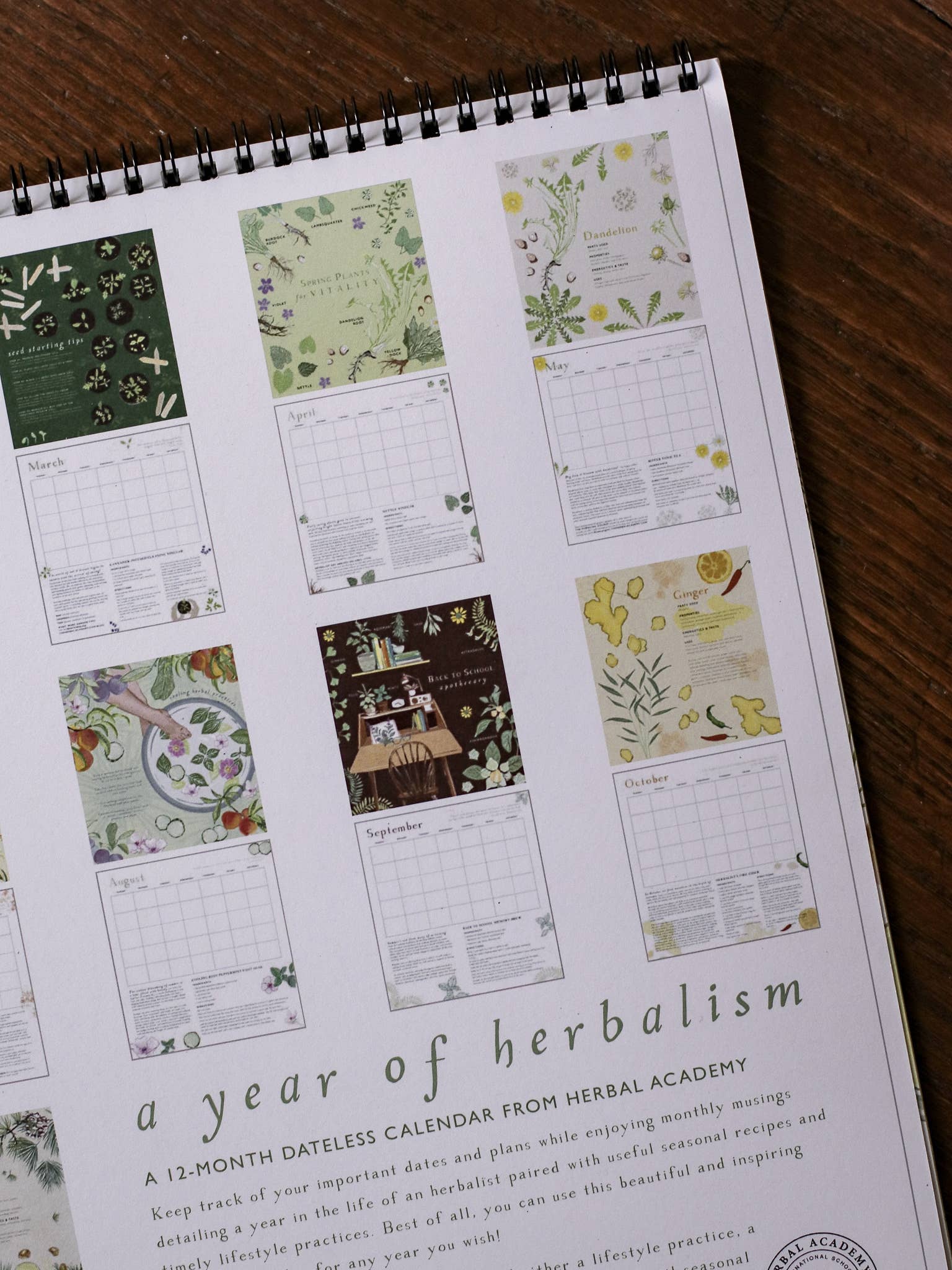 Herbal Academy - Vente Calendrier - CALENDRIER SANS DATE SUR 12 MOIS POUR LE BIEN-ÊTRE DES PLANTES6