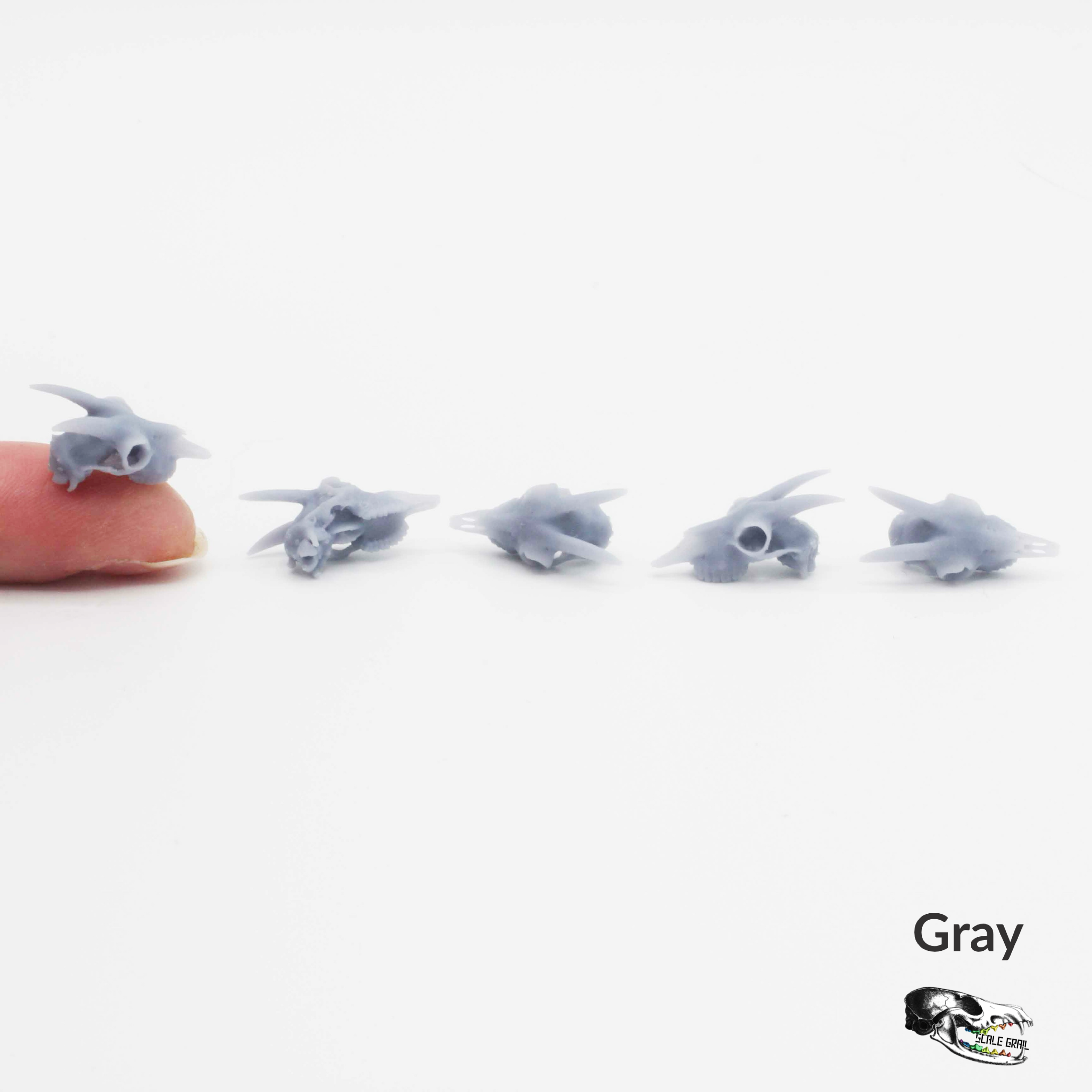 The Scale Grail - Wholesale Craft Supplies - Miniature Goat Skull - 1:12 Scale Dollhouse and Diorama, art and craft supplies (5 skulls)4