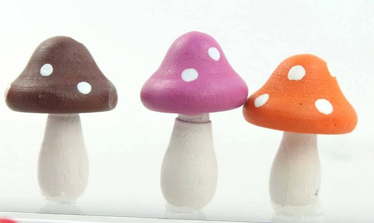 Multicolor Minidecoración de hongos de madera de Meyer Imports (paquete de 10 unidades) de venta al por mayor en Faire5