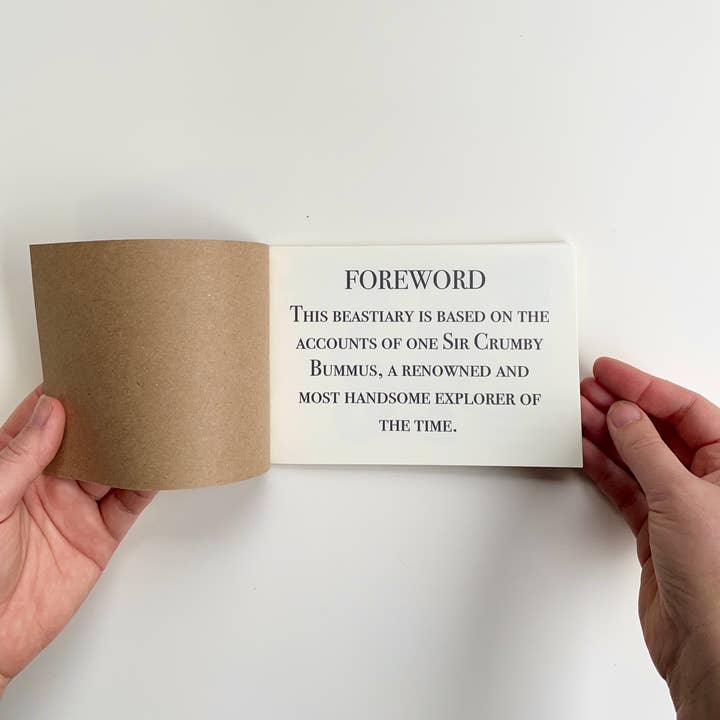 Ashlea Bechaz Illustration - Wholesale Magazine - Zine - Medieval Monsters1