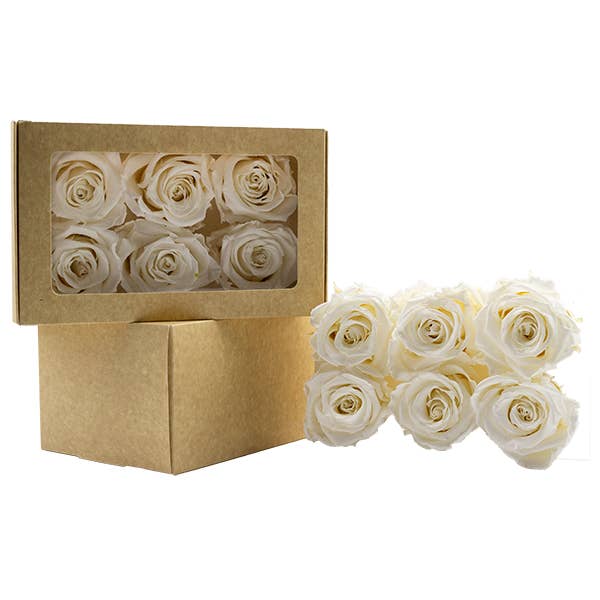 Concari.flores Preservadas - Wholesale Artificial Flowers - SPLENDID ROSE PRESERVED IN VARIOUS SHADES4