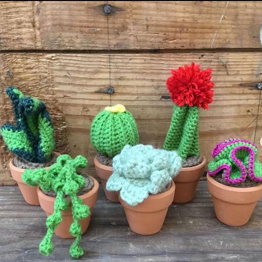 Rosemary's Baby MEK - Wholesale Decorative Tabletop Object - Crochet Mini Cactus Pots
