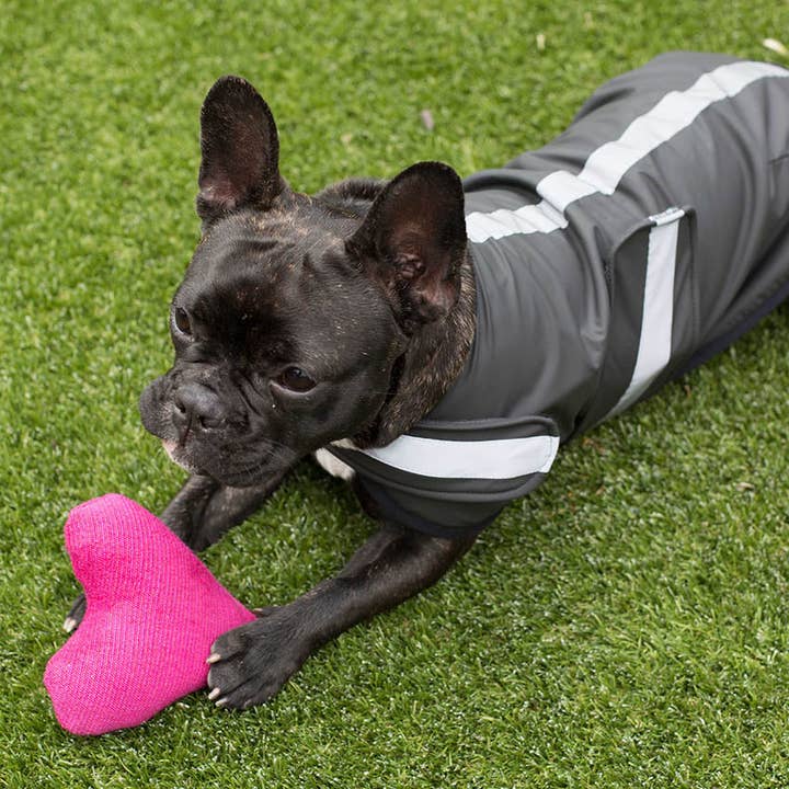 Mr. Soft Top - Wholesale Pet raincoat – Dog - Black Waterproof Raincoat0