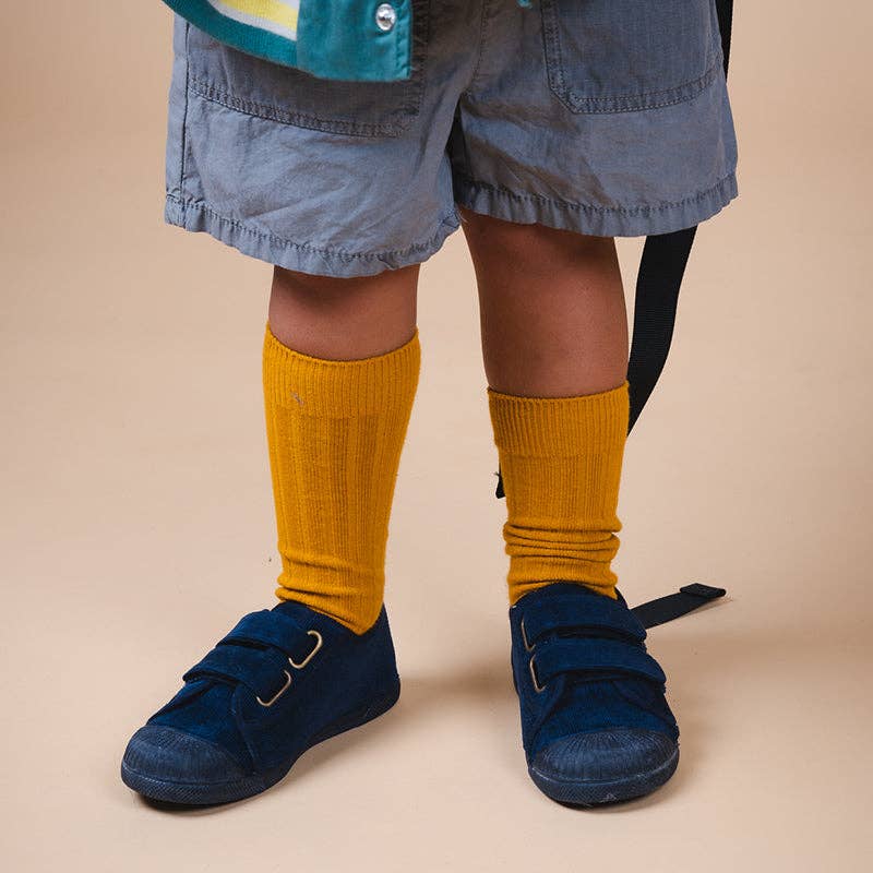 D’ERLANGER / KIDS BLUE STANDING SPECIAL Stander Wonder Rollator Plus, Four Wheel Folding Walker with