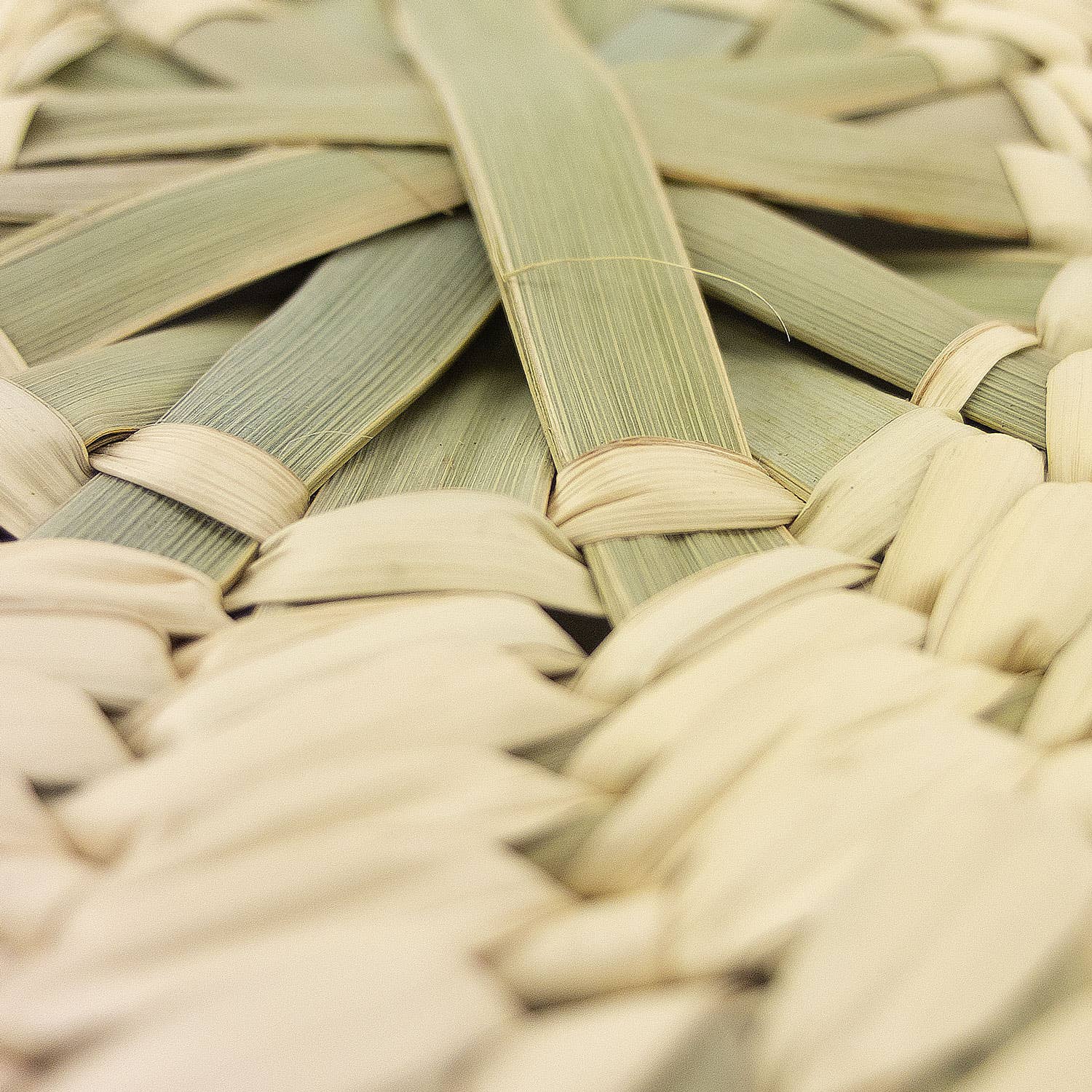 Utilitario Mexicano - Wholesale Handheld Folding Fan - ROUND HAND FAN3