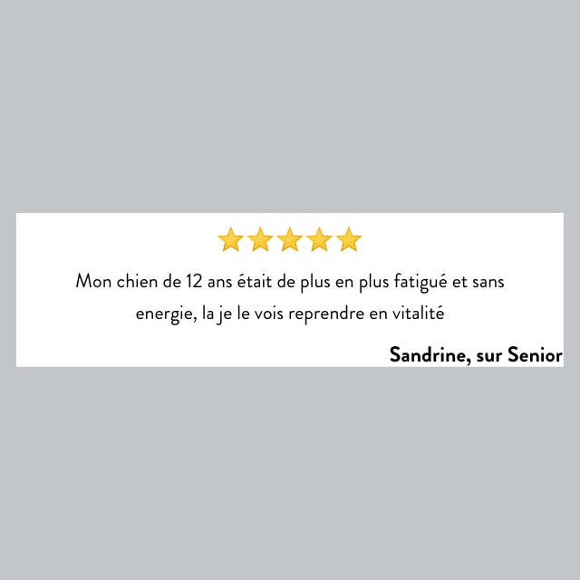 Hello Jack - Wholesale Pet Supplement - Dog - Senior - Vitality supplements for senior dogs2