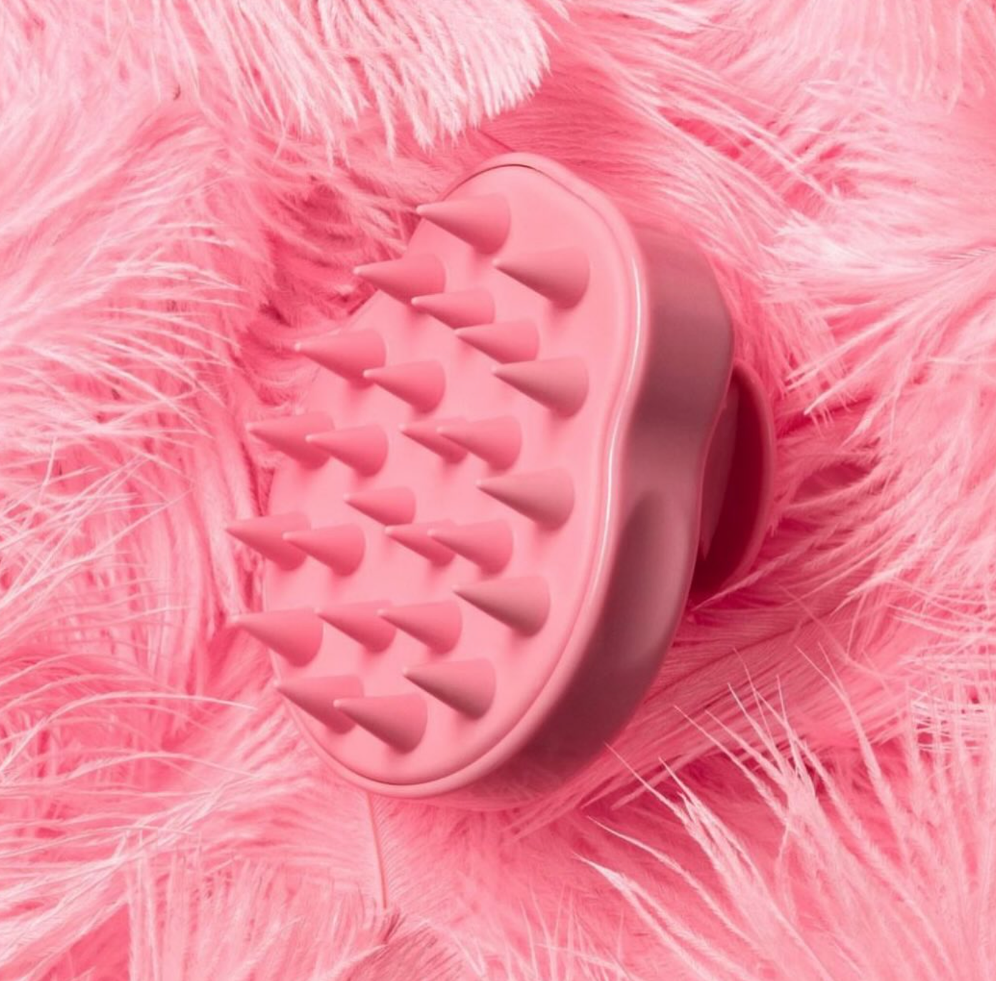 Best Beauty Group - Wholesale Hair Brush/Comb - CALA Scalp Massaging Shampoo Shower Hair Brush5