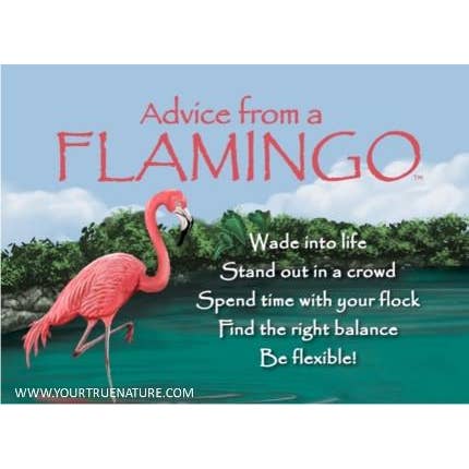 Conseils d'un aimant Jumbo Flamingo pour la vente par Advice for Life by Your True Nature