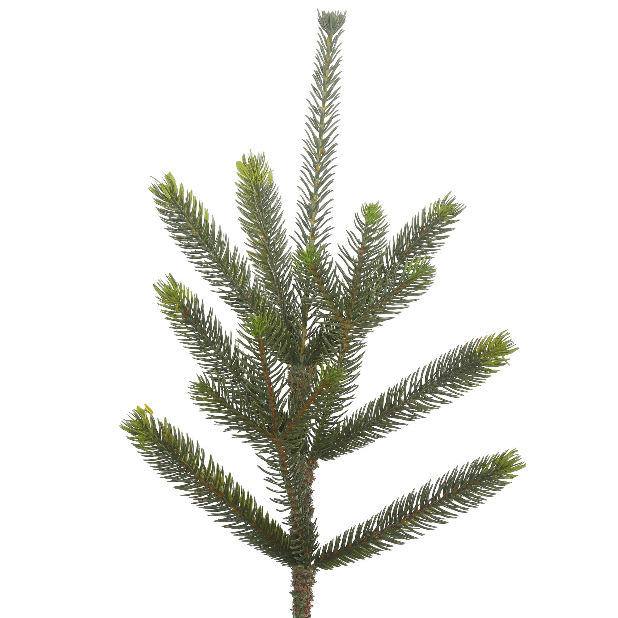 Green Vickerman 5' Bed Rock Pine Artificial Christmas Tree, Unlit for wholesale on Faire1