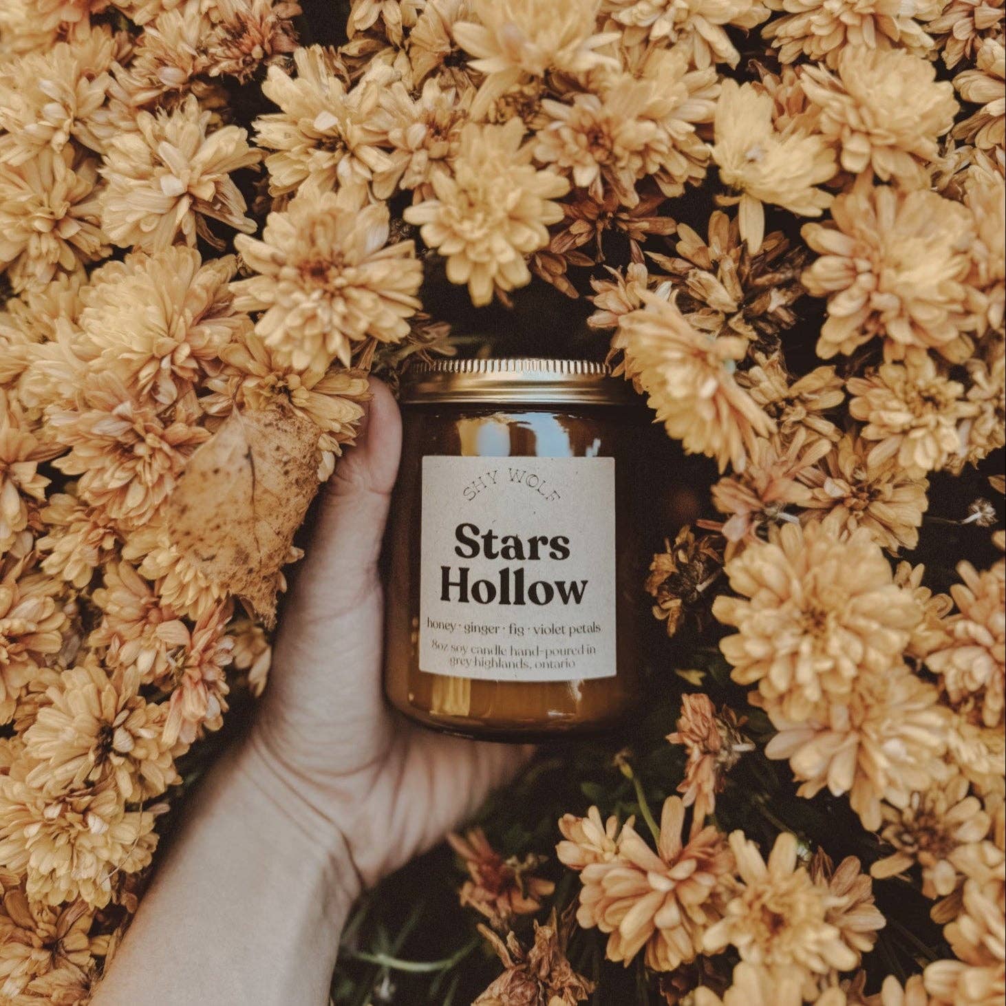 Shy Wolf Candles - Wholesale Jar/Filled Candle - Stars Hollow3
