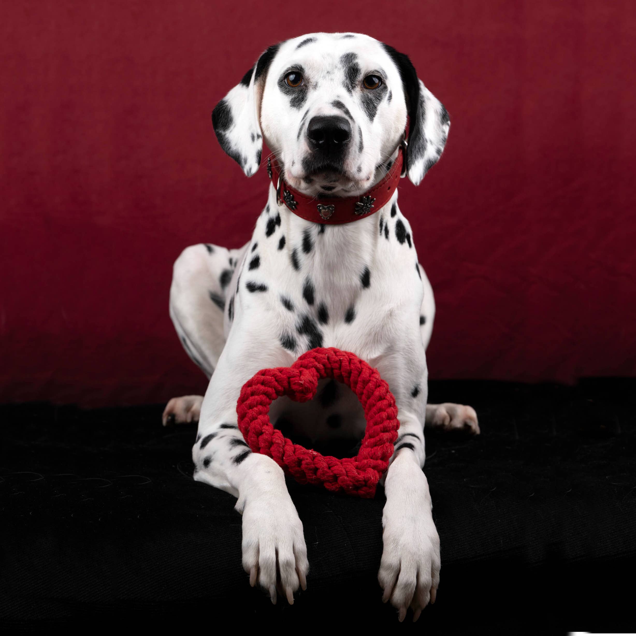 LABONI - Volentis GmbH - Wholesale Pet Rope Toy - Dog - Hertha Heart5