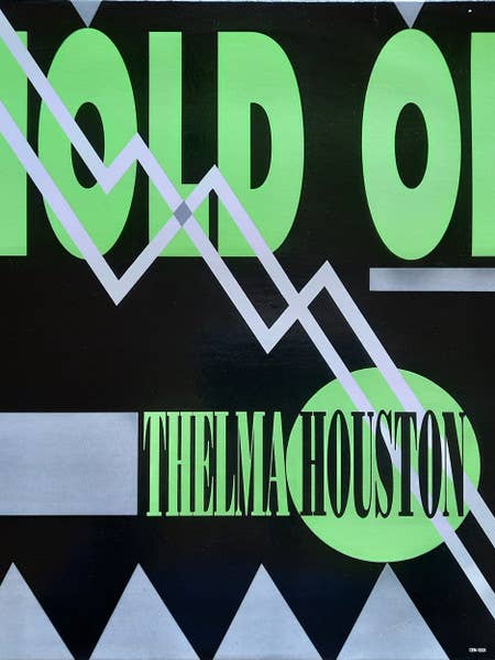 THELMA HOUSTON Tenez Bon Disque Vinyle de Musique pour la vente par Real Retro