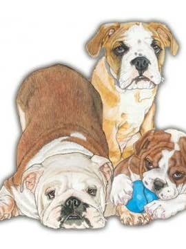 Bulldog Wooden Magnet for engroshandel hos Pipsqueak Productions