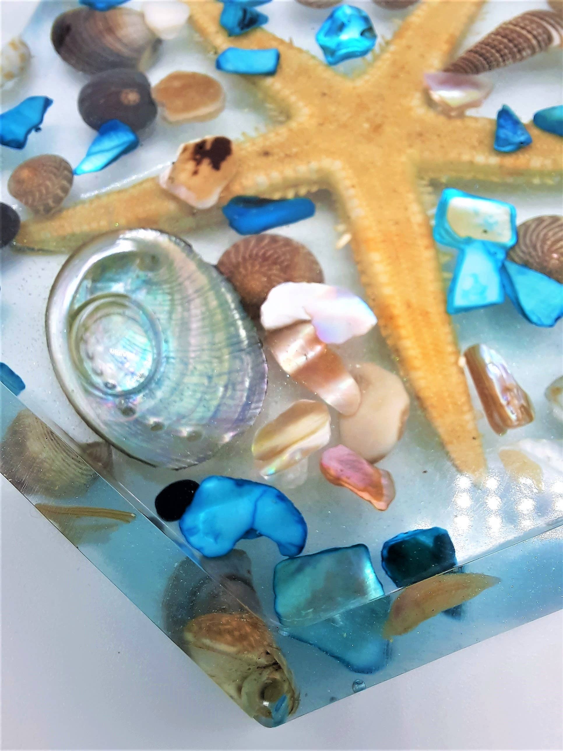 JEMS of the Sea - Wholesale Coasters - Handmade Eco-Friendly Resin Seashell Coasters4