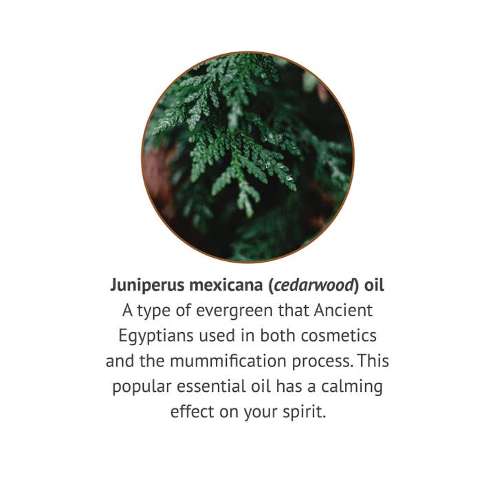 Botanic Choice - Wholesale Essential Oil - Botanic Spa Cedarwood Essential Oil - 1 oz3