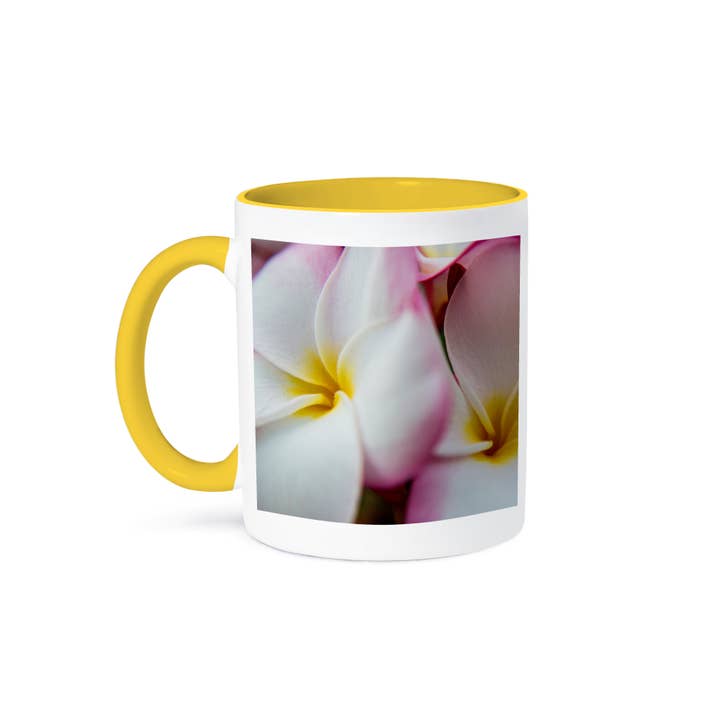 3dRose - Wholesale Coffee Mug - 3dRose, USA, Hawaii, Oahu, Close up of pink Plumeria flower, Mug