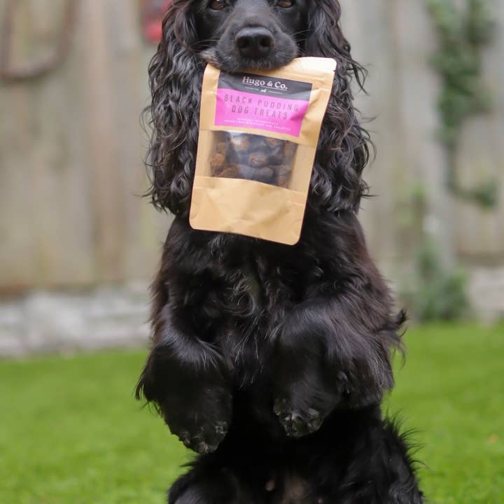 Hugo & Co Dog Treats - Wholesale Pet Treats - Dog - Black Pudding Dog Treat Bag