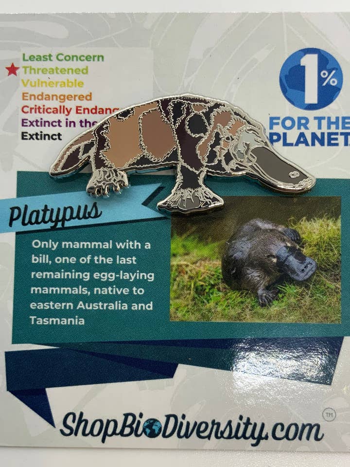 Prego de Esmalte Ornitorrinco - Acessório de Vida Selvagem Australiana por atacado de Shop BioDiversity