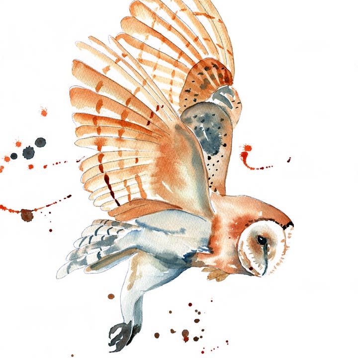 1418. Børn Ugle Print for engroshandel hos Dancing Raven Designs