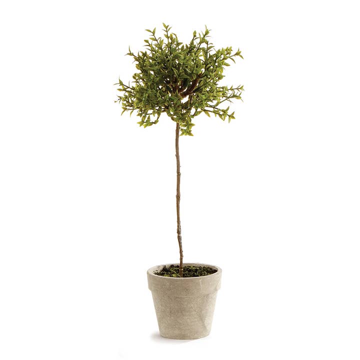 Napa Home & Garden - Wholesale Artificial Plant - Thyme Topiary 13"