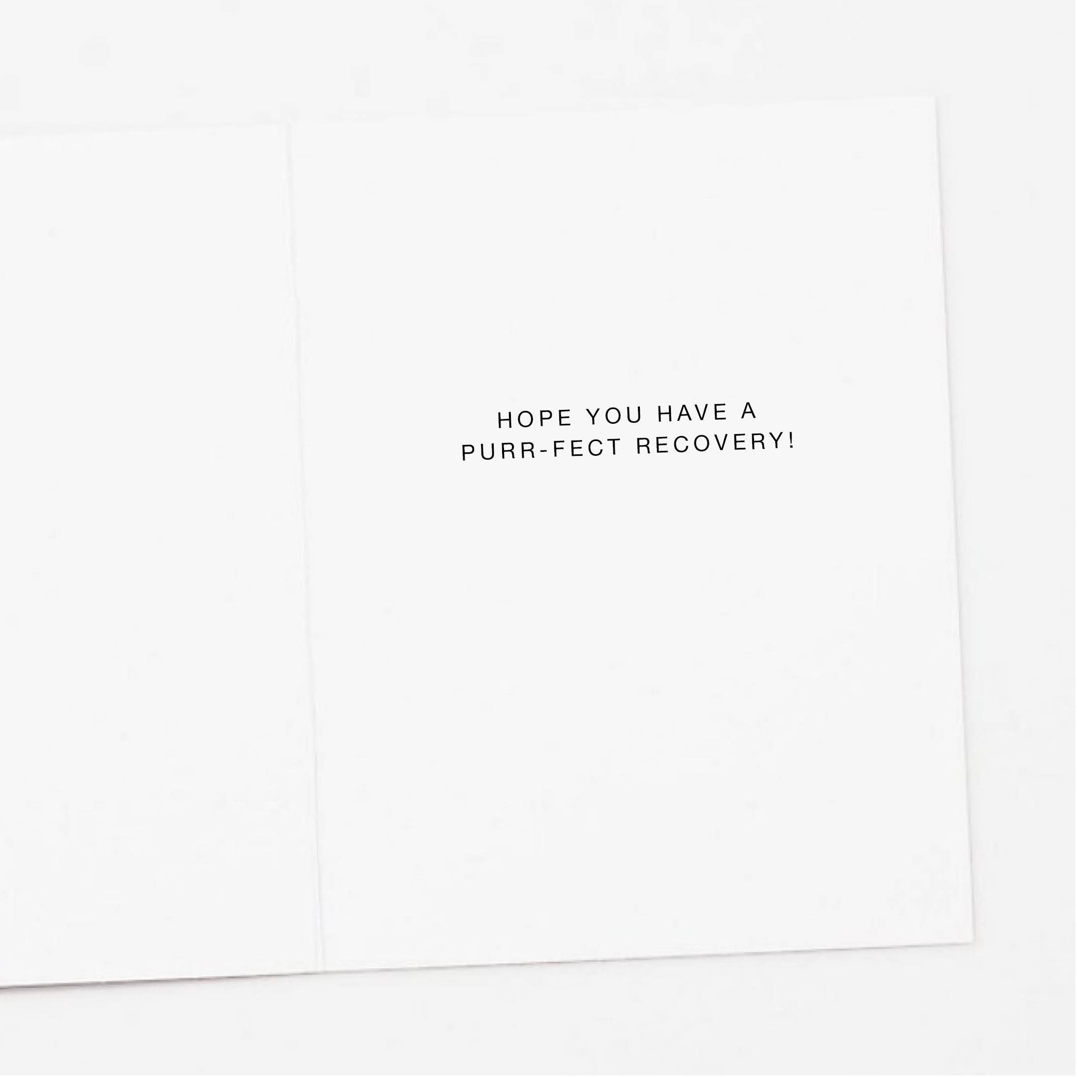 Apartment 2 Cards - Wholesale Get Well Card - Recuperating Black Cat Get Well Card1