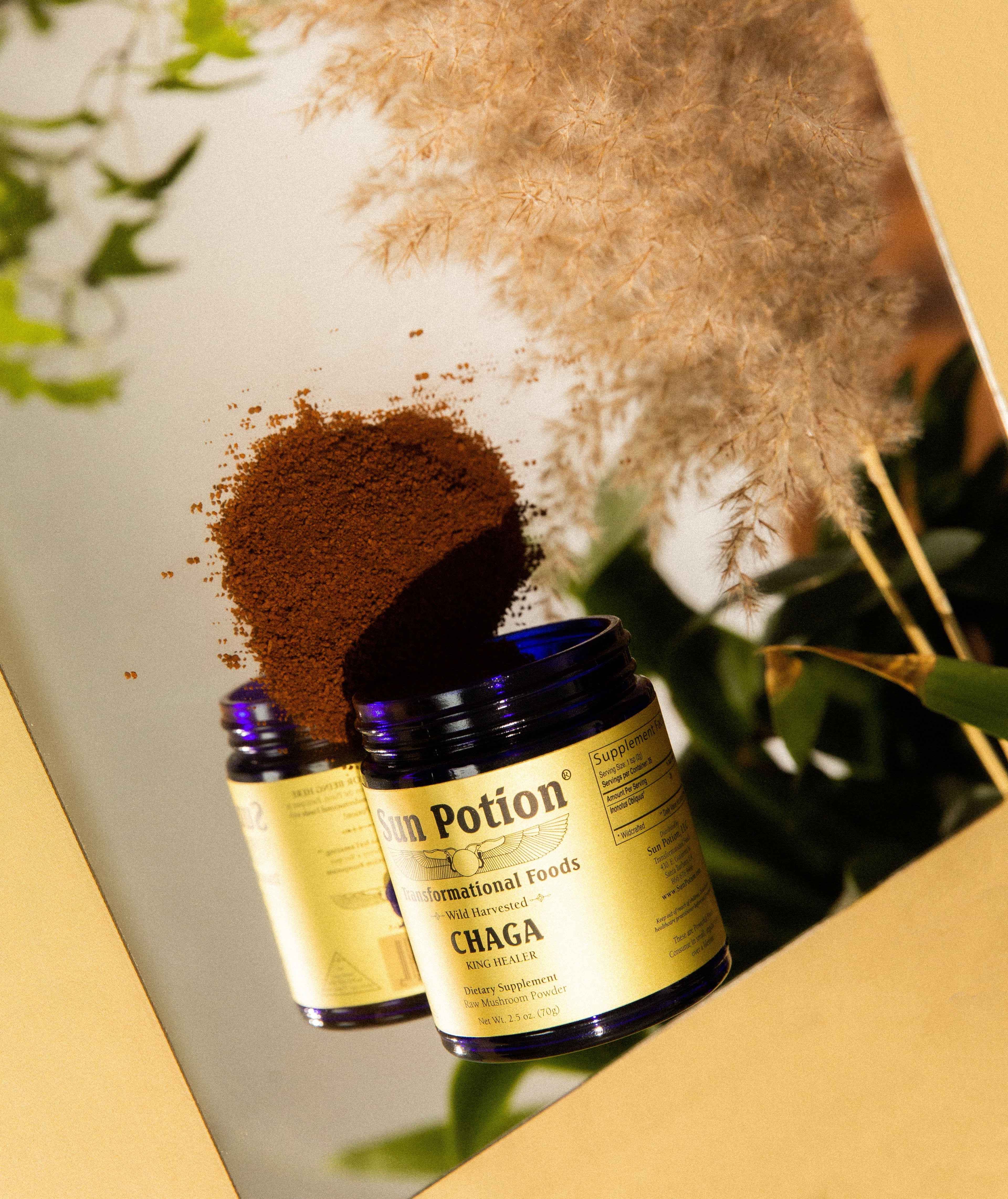 Sun Potion - Wholesale Protein/Superfood Powder - Chaga Mushroom Powder (Wildcrafted)1