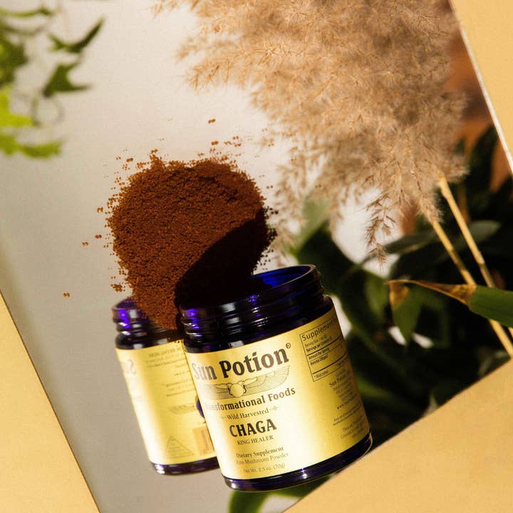 Sun Potion - Wholesale Protein/Superfood Powder - Chaga Mushroom Powder (Wildcrafted)1