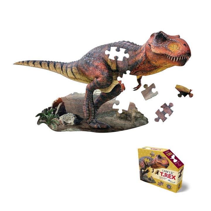 I AM LiL' T. REX 48 for wholesale by Madd Capp Games & Puzzles