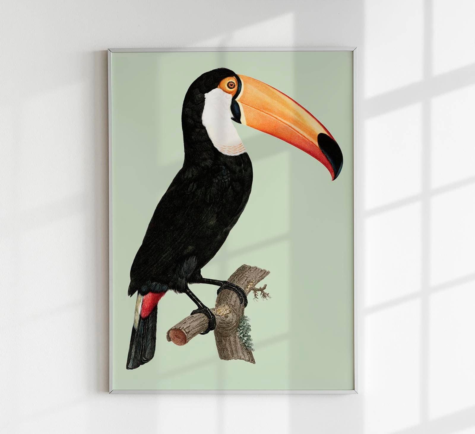 Patroa Studio - Vendita all'ingrosso Poster - Le Toco Green n. 2 Poster0