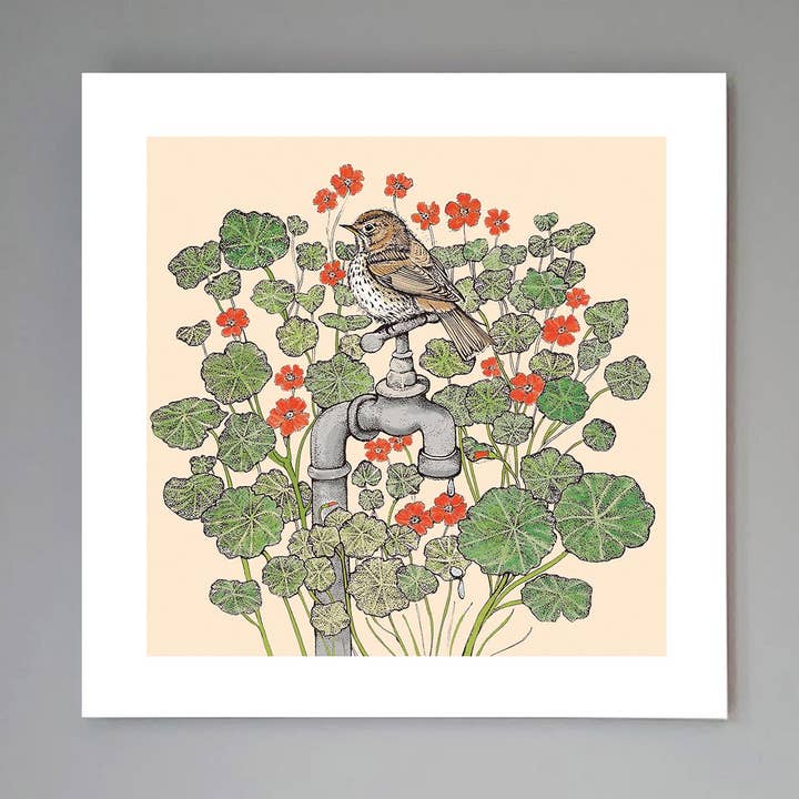 Impressão artística “Song Thrush On Nasturtiums” por atacado de Fay's Studio